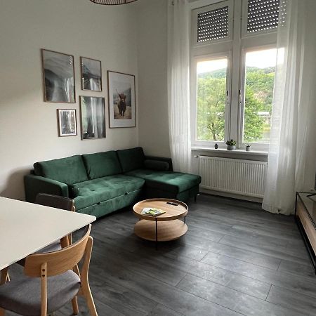Direkter Moselblick I Altbau I 4 Personen I Terrasse Apartamento Sankt Aldegund Exterior foto